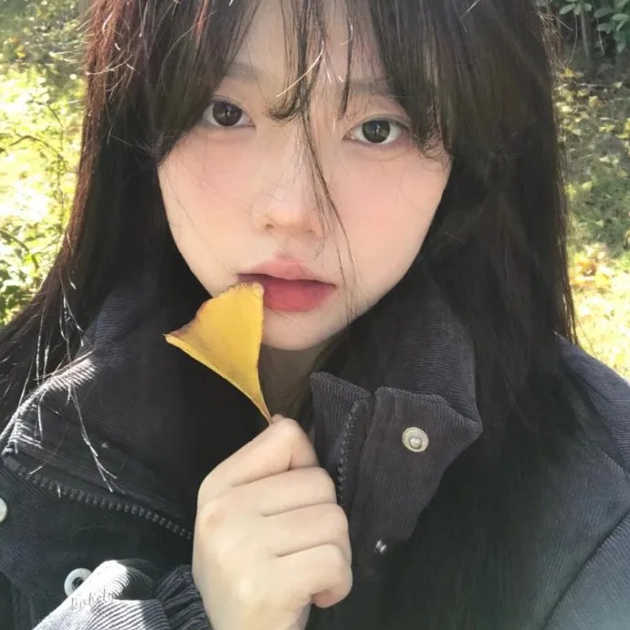 十二猴子